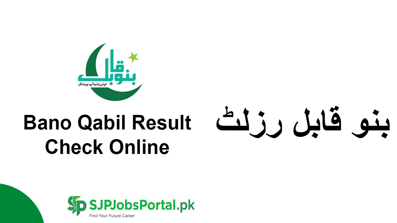 Bano Qabil Result