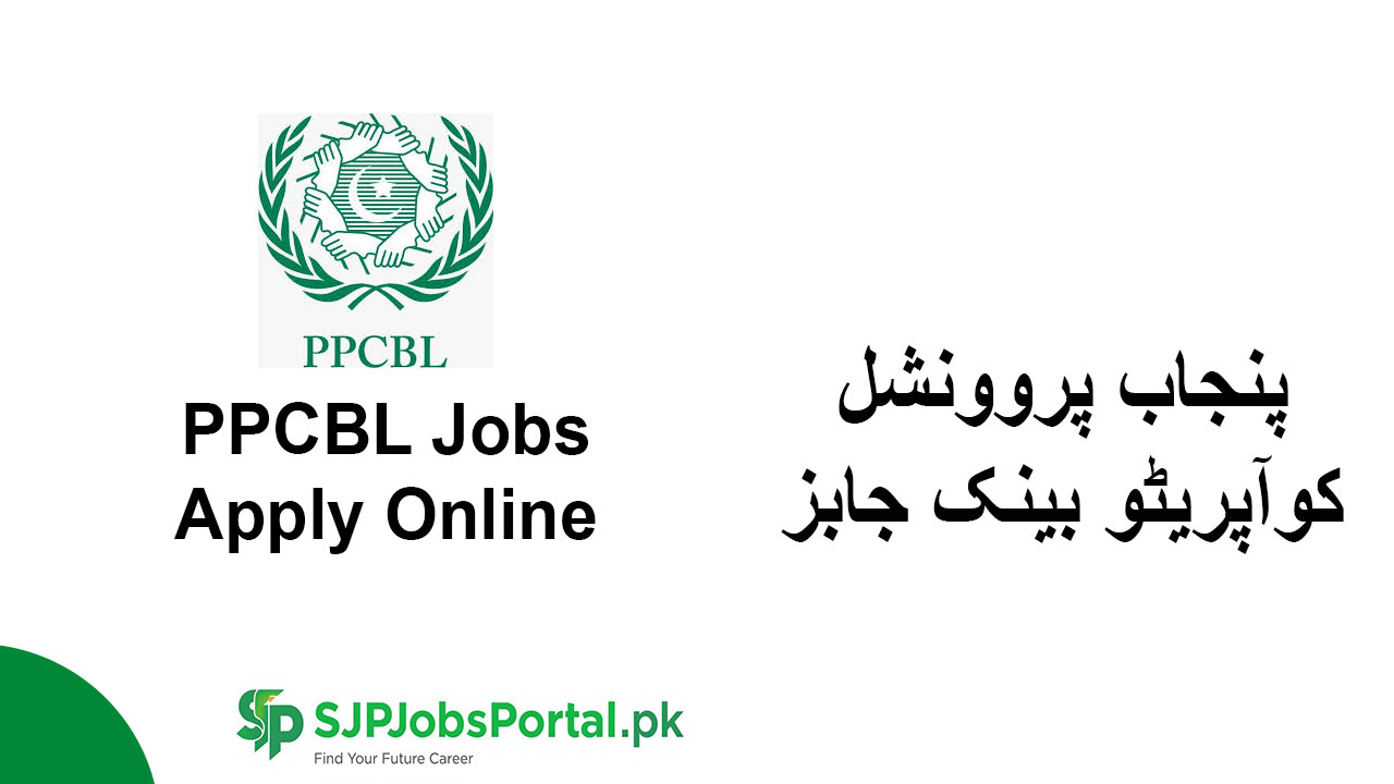 PPCBL-Jobs-Apply-Online